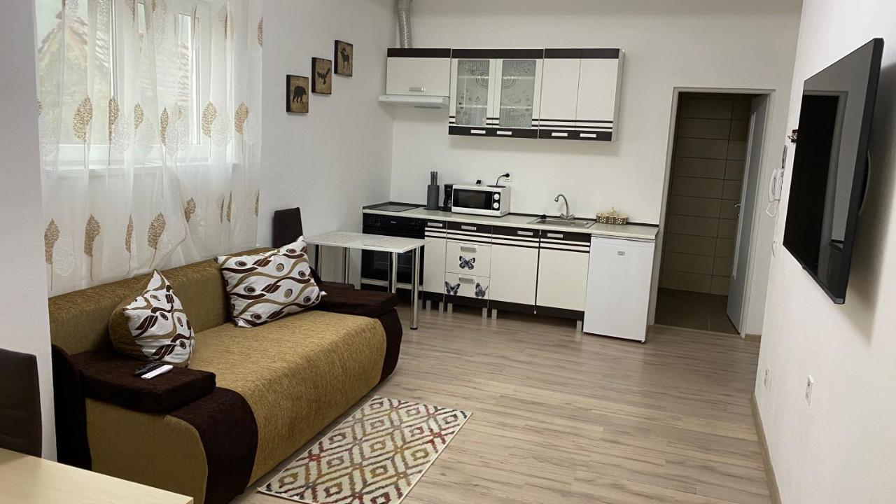 Centralhome Ap1 Sighişoara Exteriör bild
