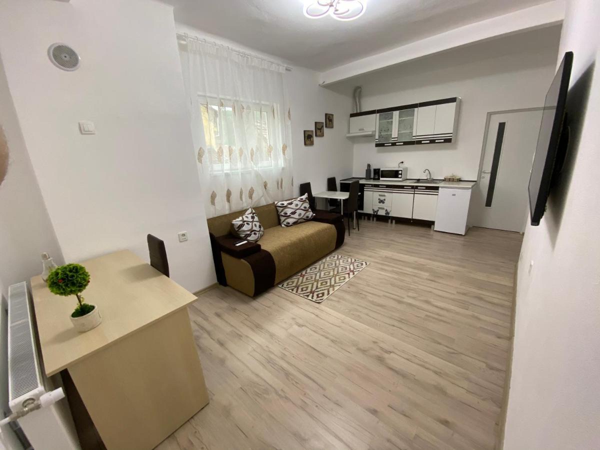 Centralhome Ap1 Sighişoara Exteriör bild